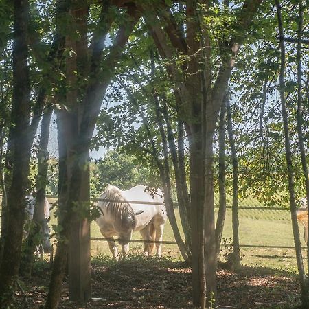 Vila Bois Des Nauzes Seyches Exteriér fotografie