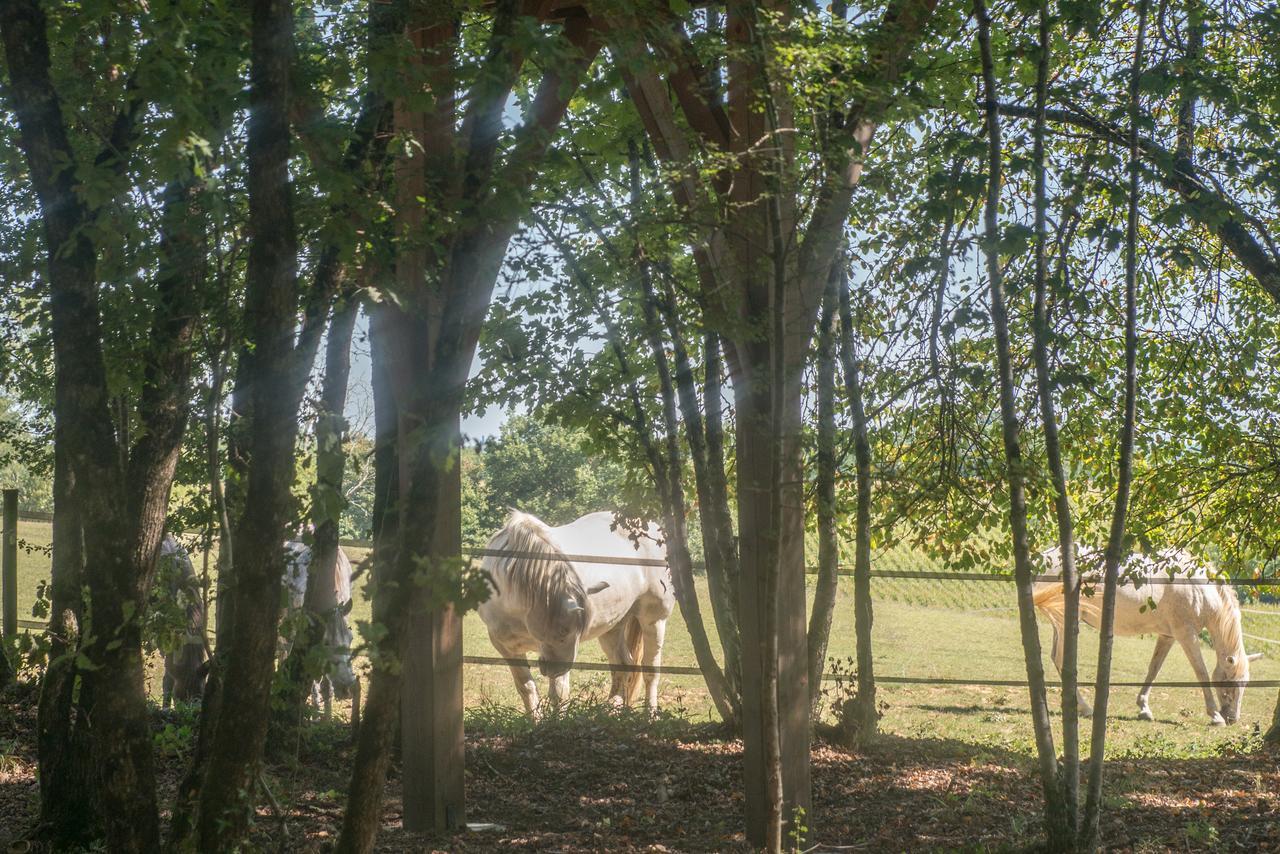 Vila Bois Des Nauzes Seyches Exteriér fotografie